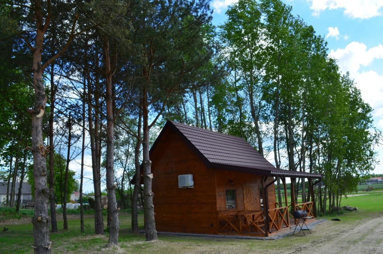 Вилла Pod Debem Winnica Экстерьер фото